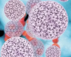 Ilustración microscópica del virus del papiloma humano (VPH)